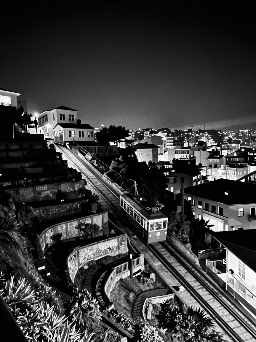 Terraced Gardens in Valparaiso at The Deepest Night Sky Light in in Valparaiso, Chile