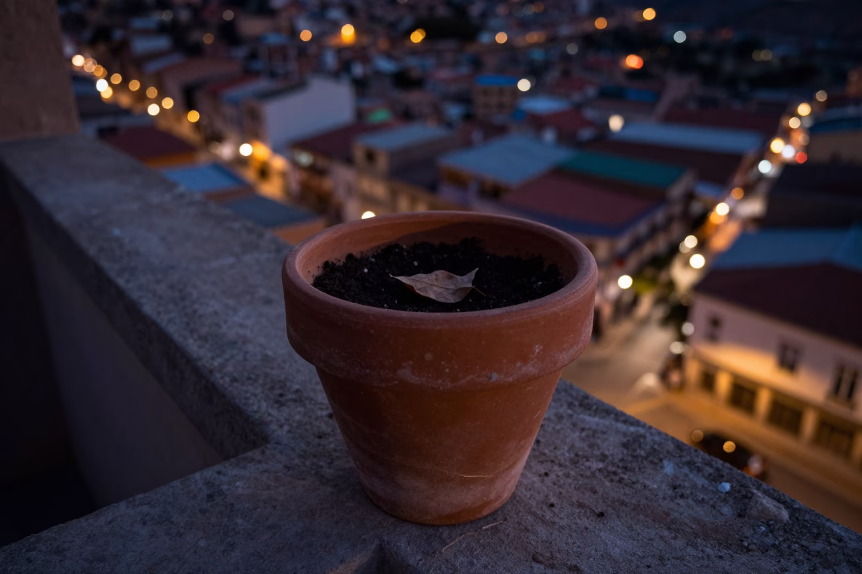Terracotta Plant Pot in La Paz in in La Paz, Bolivia