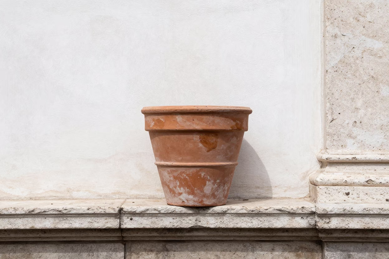 Terracotta Pot in Rome in in Rome, Italy