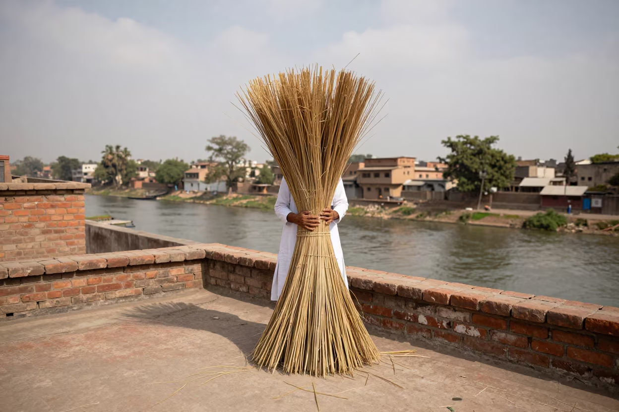 Thatcher Bundling Reed on Lahore Rooftop in beside a canal in Lahore