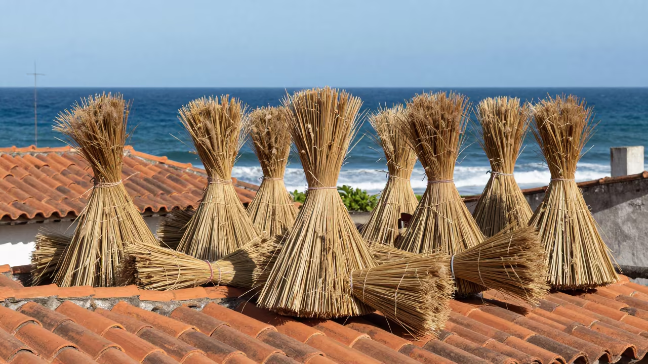 Thatcher Bundling Reeds on Sao Luis Rooftop in in Sao Luis