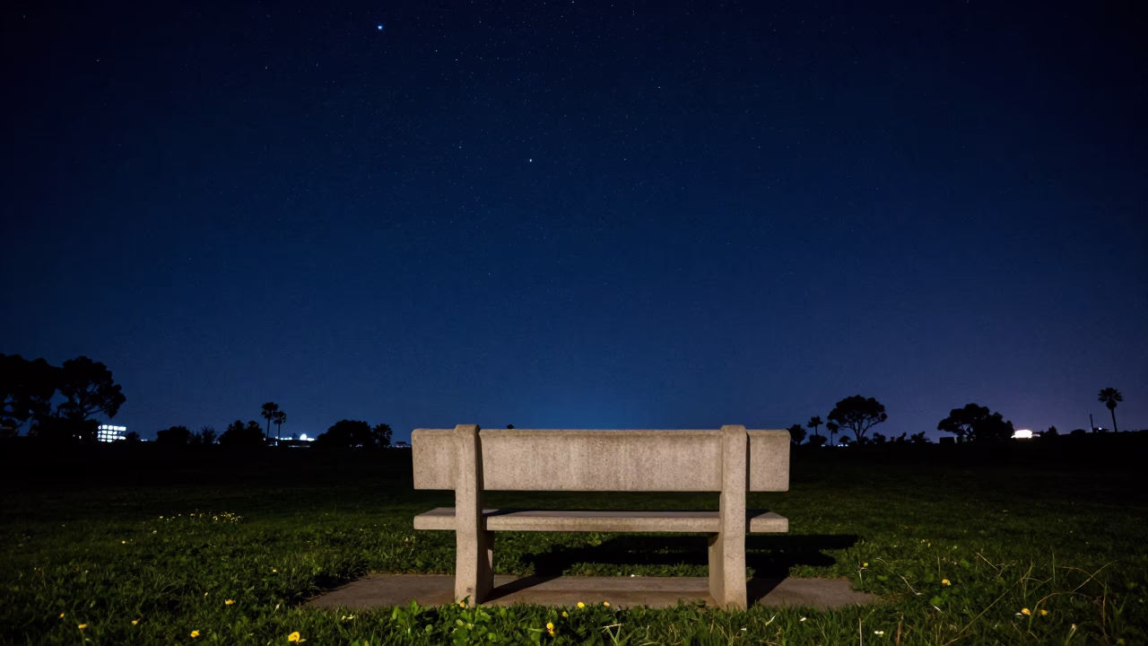 The Deepest Night Sky Light on Park Scene in San Diego in in San Diego, California, United States