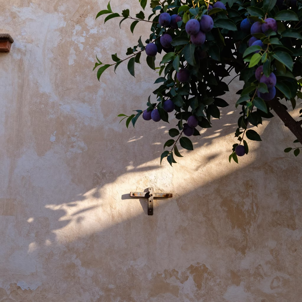 The Early Afternoon Light on Plaster Wall in Valencia in in Valencia, Spain