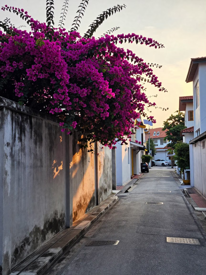 The Early Morning Light on Street Scene in Singapore in in Singapore, Singapore