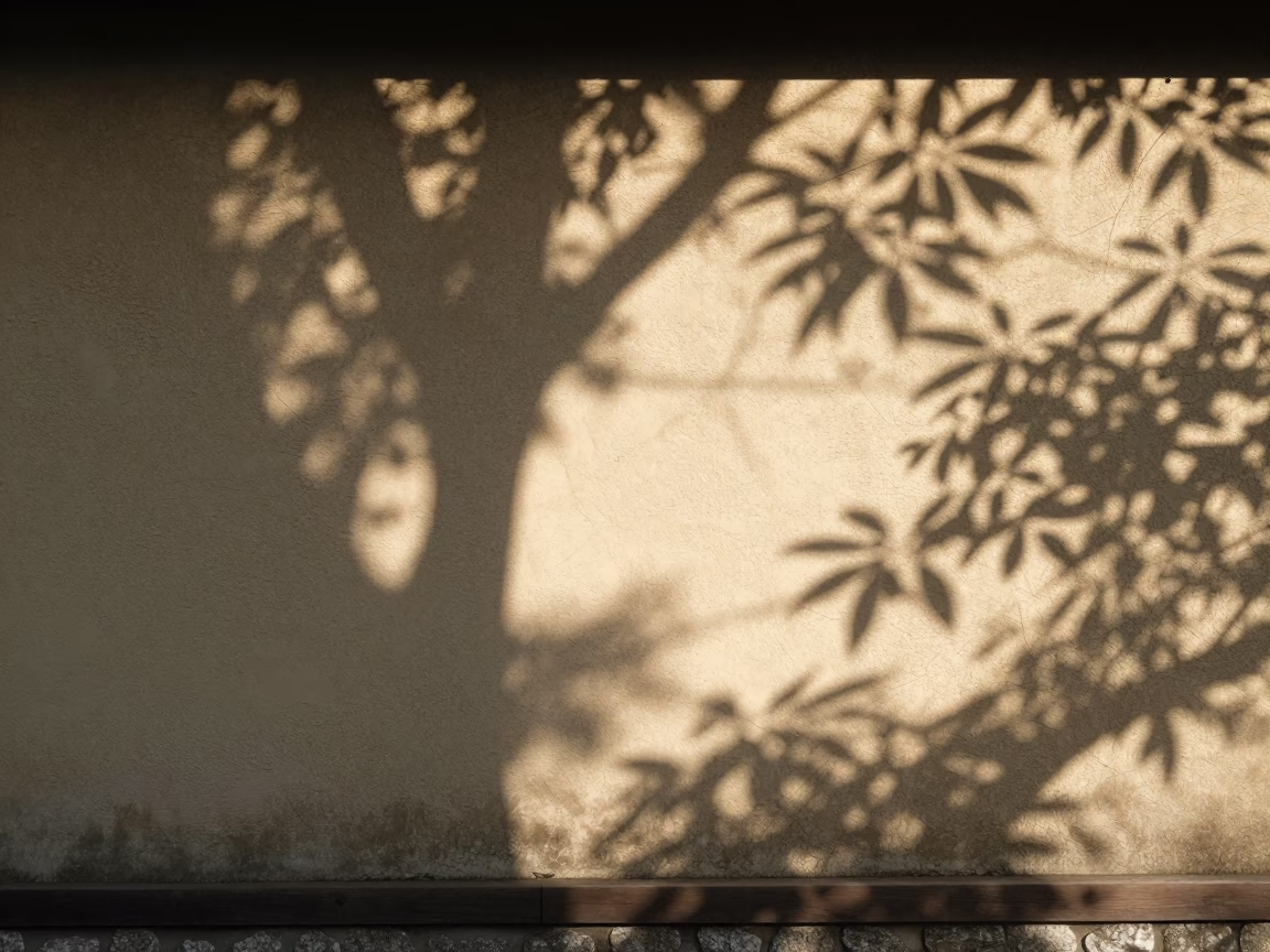 The Flat Glare Of Noon Light on Noon Sunlight in Kyoto in in Kyoto, Japan