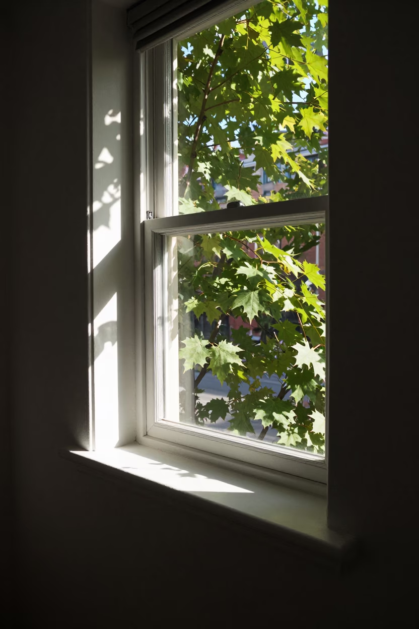 The Late Morning Light on Leaf Shadows in Montreal in in Montreal, Quebec, Canada