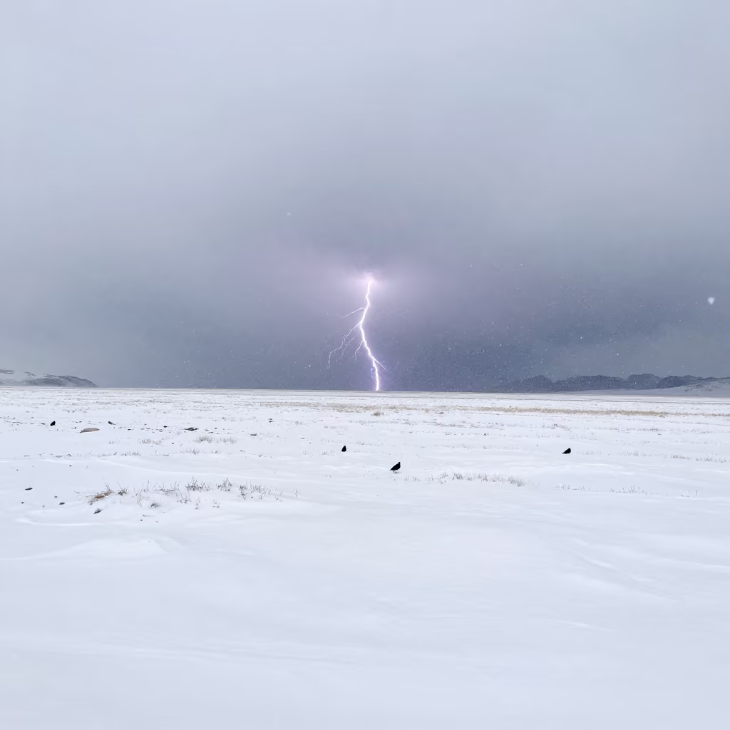 Thunder Snow Blizzard on Tibetan Plain Midday in across a storm-bright plain in Tibet