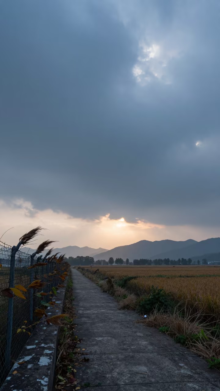Thunderheads Loom Over Hangzhou Farm Lane in over a horizon of stacked thunderheads near Hangzhou