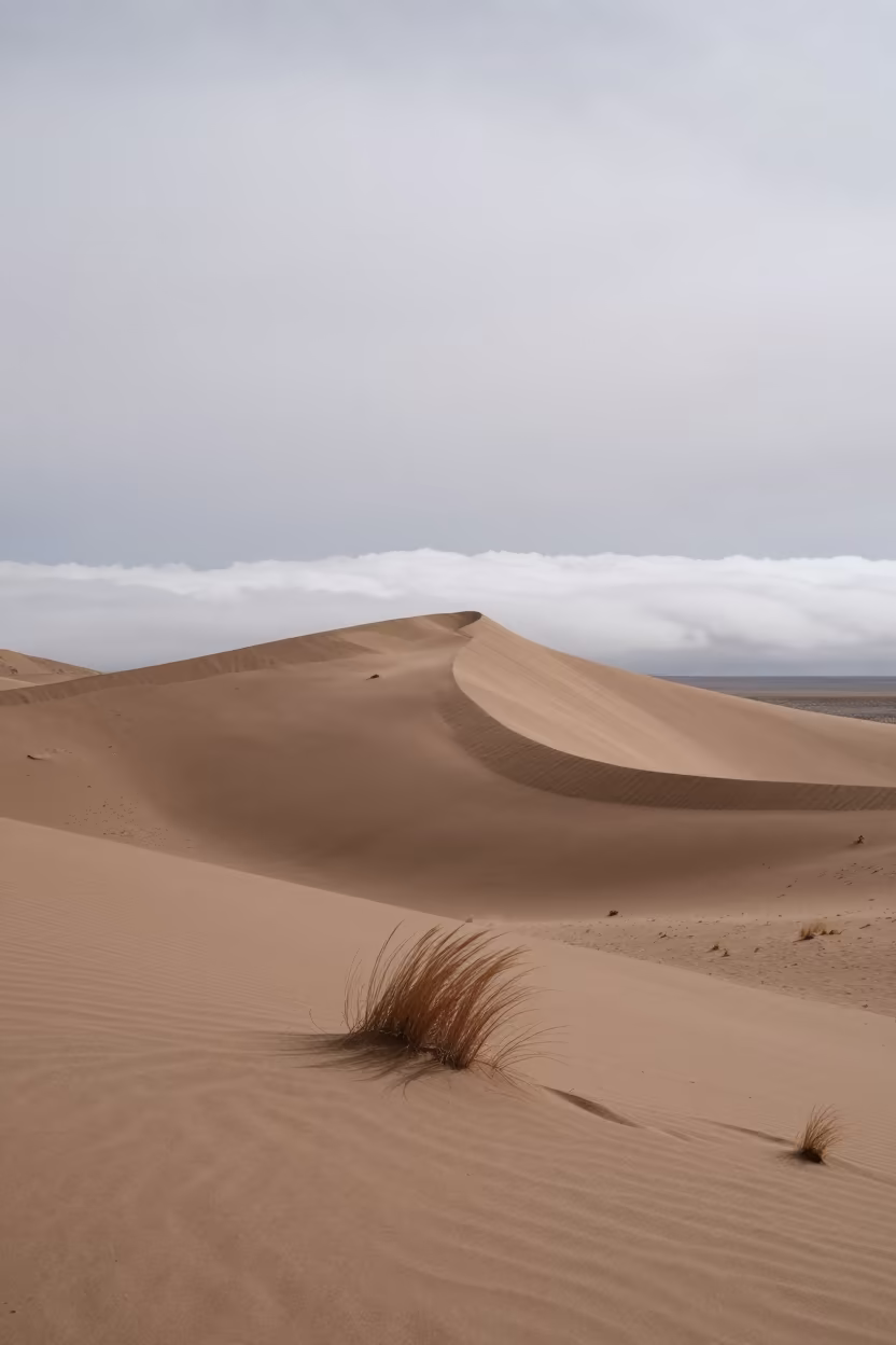 Tibetan Dune Under Cloud Inversion Winter Light in in Tibet