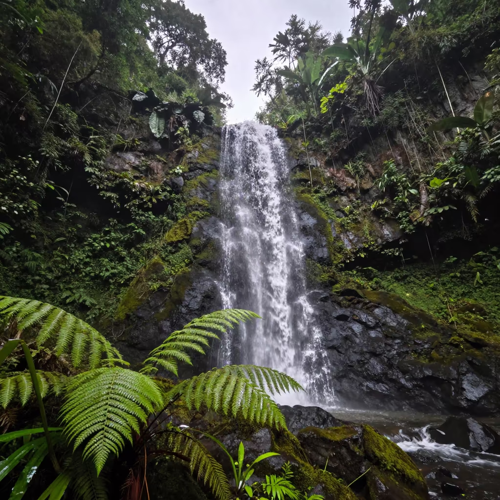 Tiered Waterfall in Mossy Jungle After Rain in across a floodplain after rain near Chow Kit, Kuala Lumpur