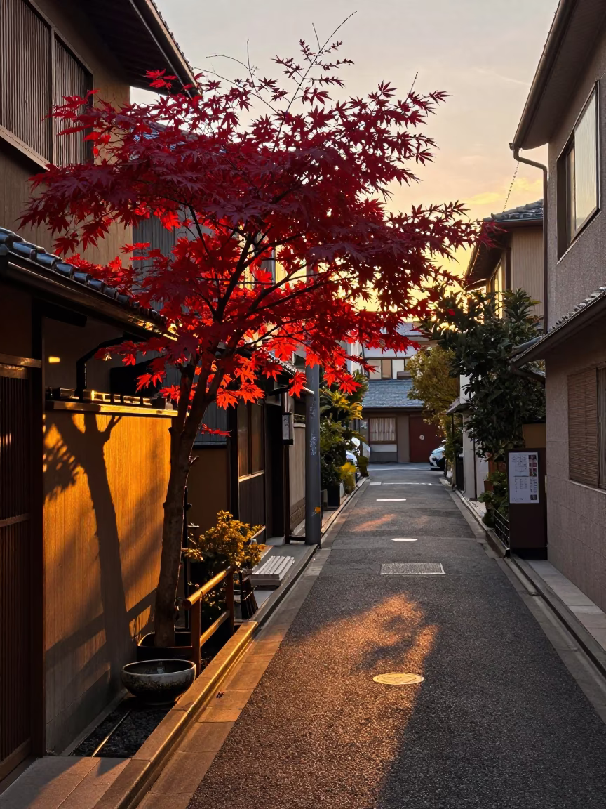 Tokyo Evening Street Scene with Japanese Maple Crimson Leaves and Traditional Bowl in in Tokyo, Japan