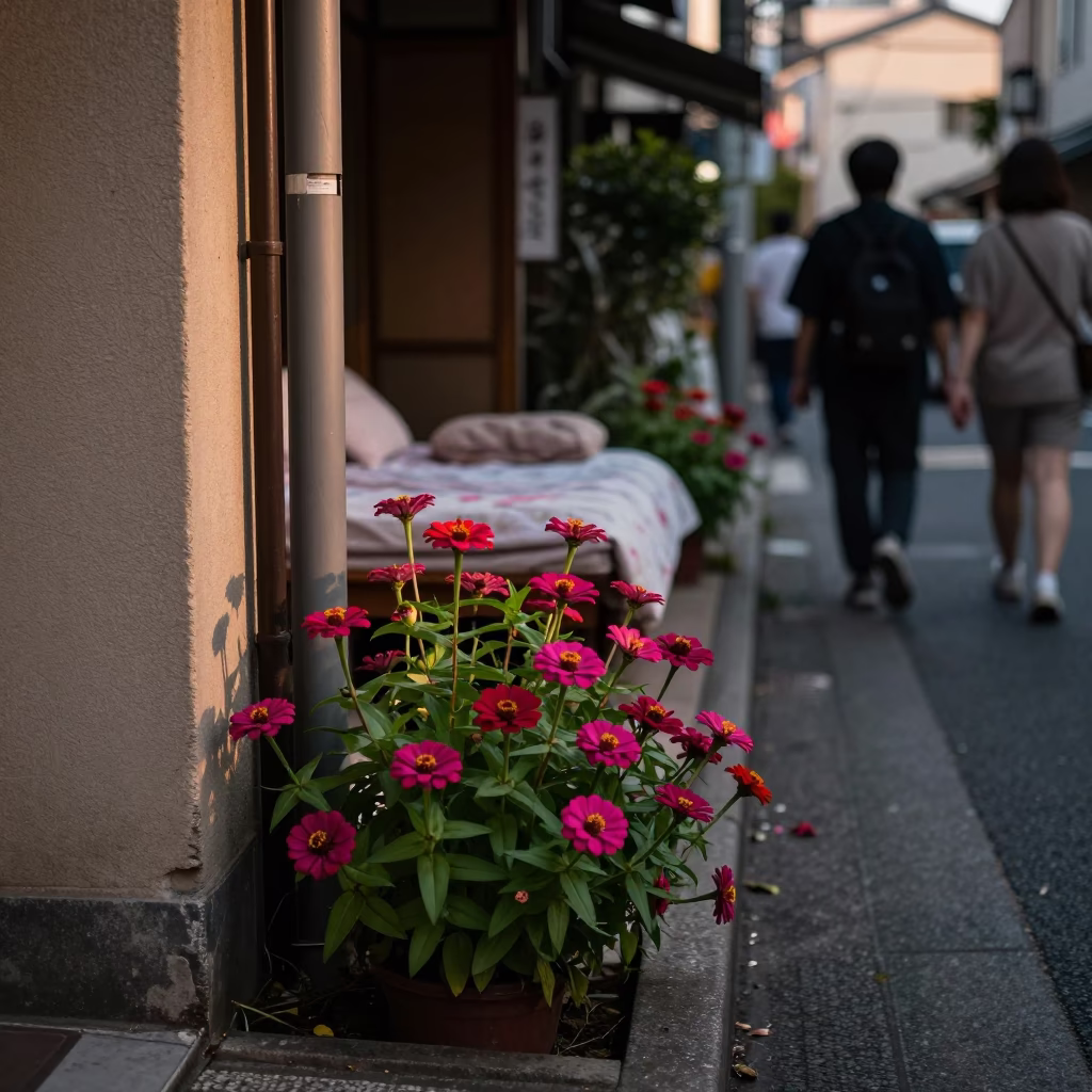 Tokyo Evening Street Scene with Zinnia Bed and Local Interaction in in Tokyo, Japan
