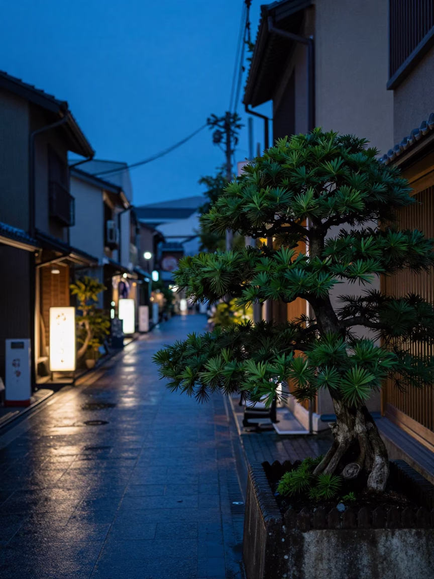 Tokyo Street Twilight Scene with Bonsai Juniper and Traditional Stone Details in in Tokyo, Japan
