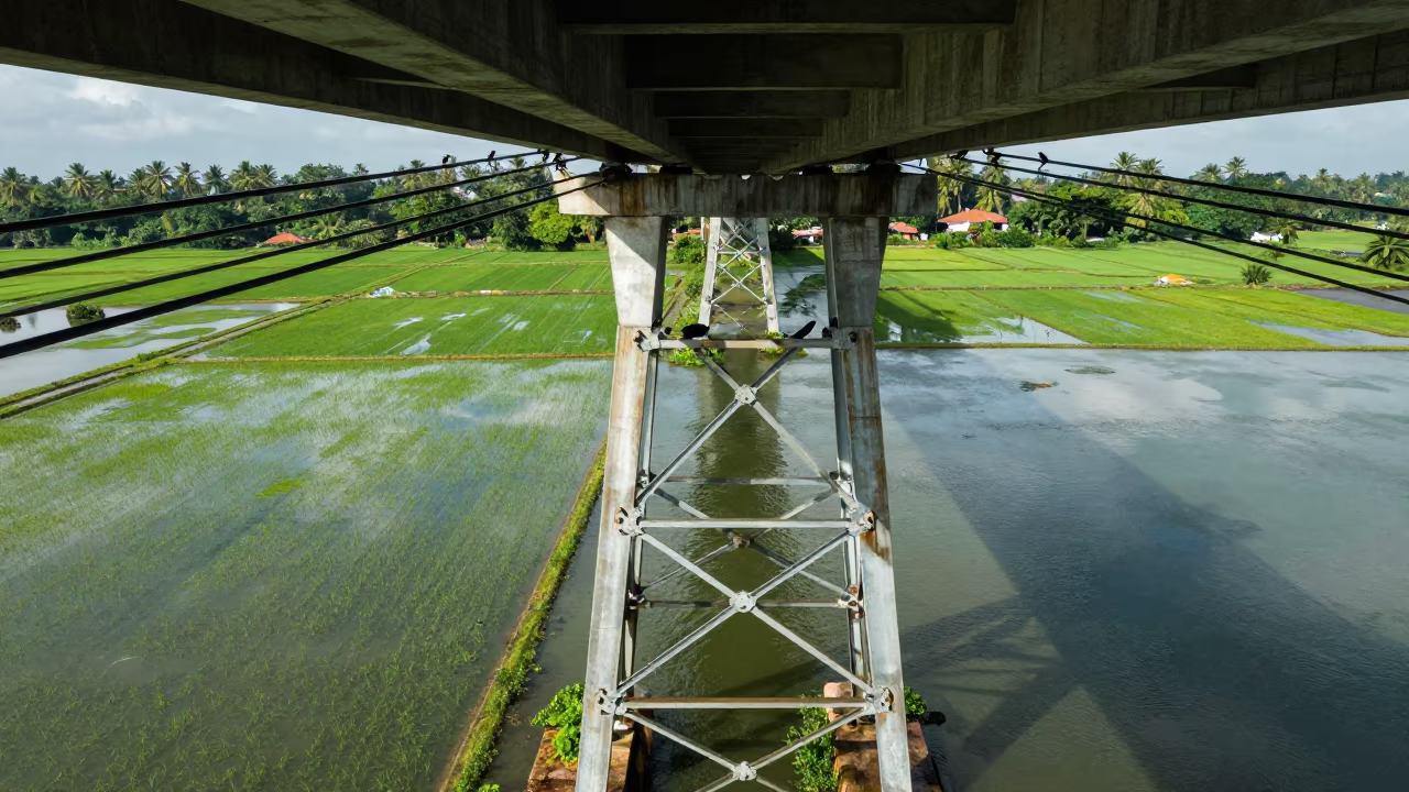Transmission Towers in Flooded Kerala Rice Fields in under a cable-stayed bridge span in Kerala