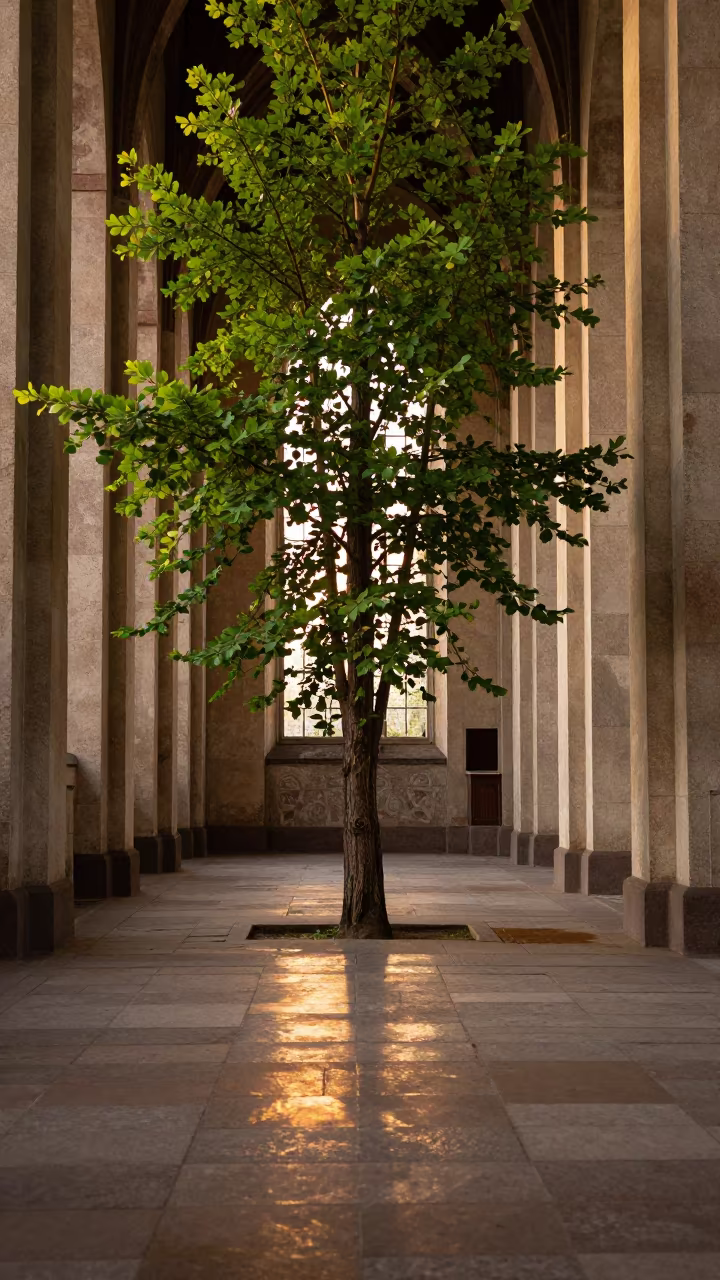 Tree Growing Through Chapel Floor in Espoo in along a monastery corridor in Espoo