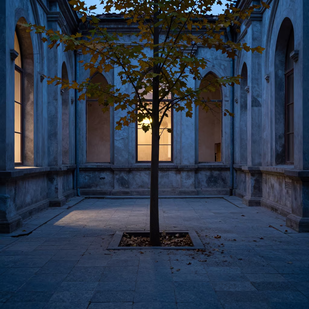 Tree Growing Through Floor in Zhengzhou Chapel in inside a quiet cloister passage in Zhengzhou