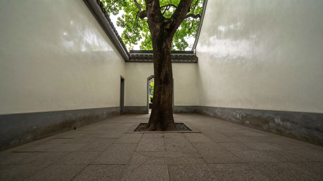 Tree Root Breaks Chapel Floor in Wuhan Cloister in inside a quiet cloister passage in Wuhan