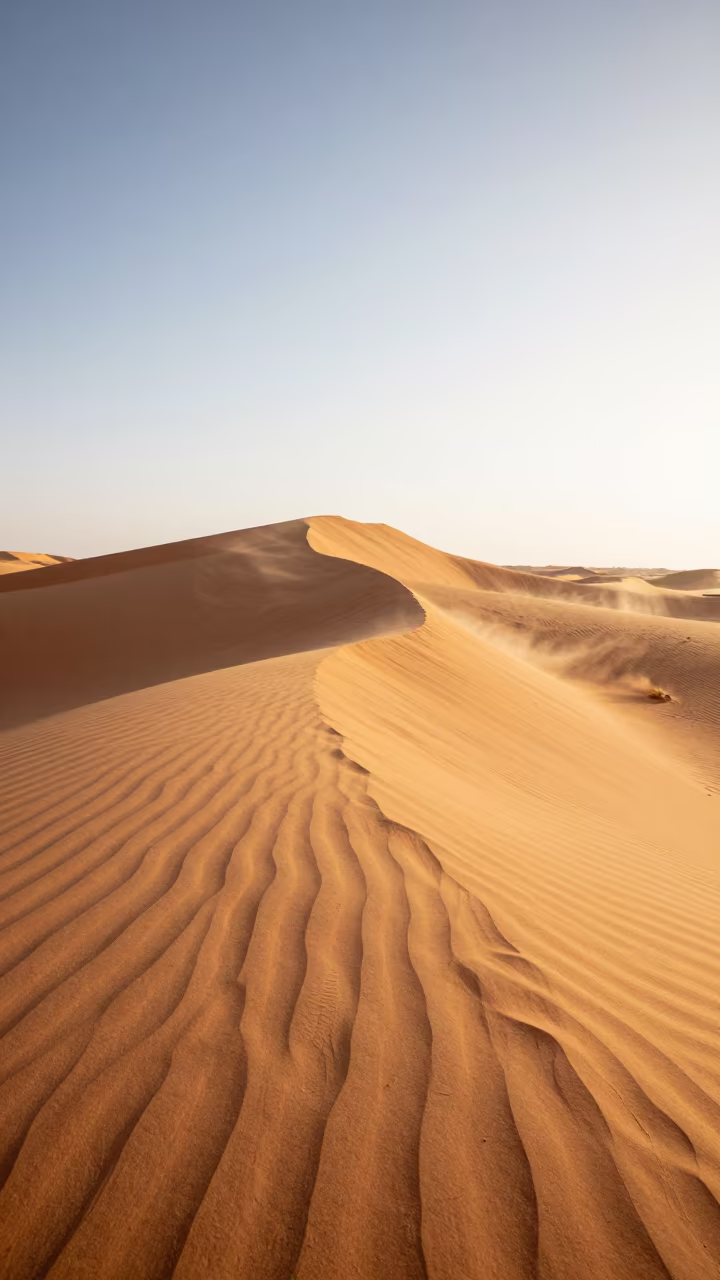 Tunisian Barchan Dunes Golden Hour Light in in Tunisia