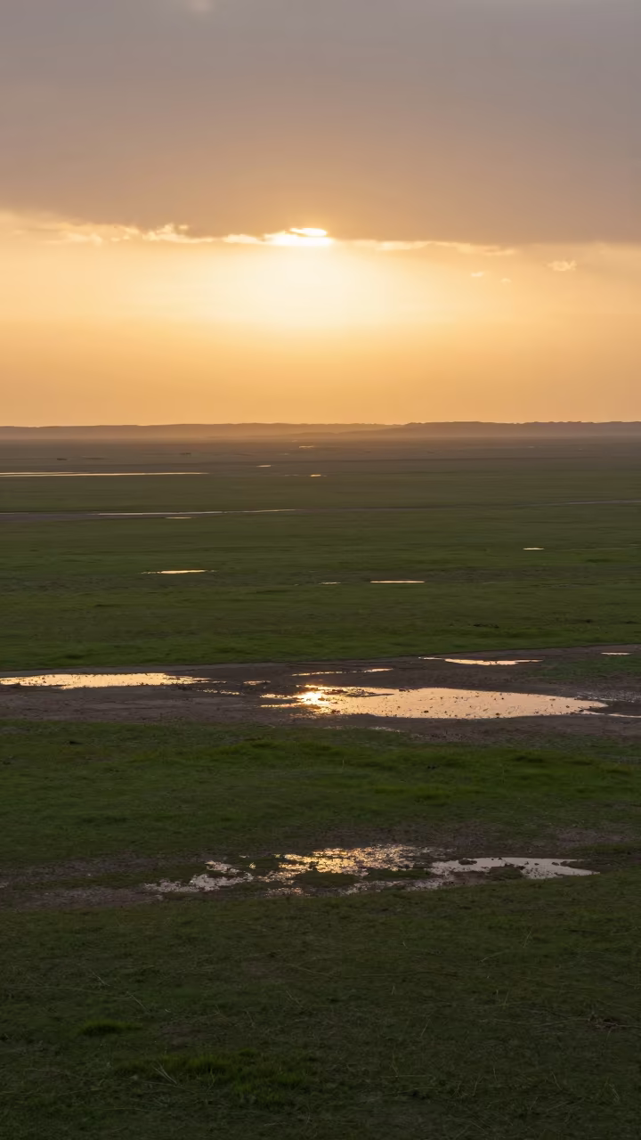 Turkmenistan Steppe Sunrise After Rain Monsoon in in Turkmenistan