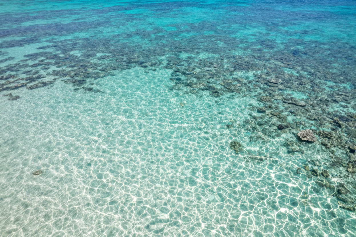 Turquoise Coral Reef Underwater Aerial View in beneath a reef ledge in tropical shallows near Denpasar