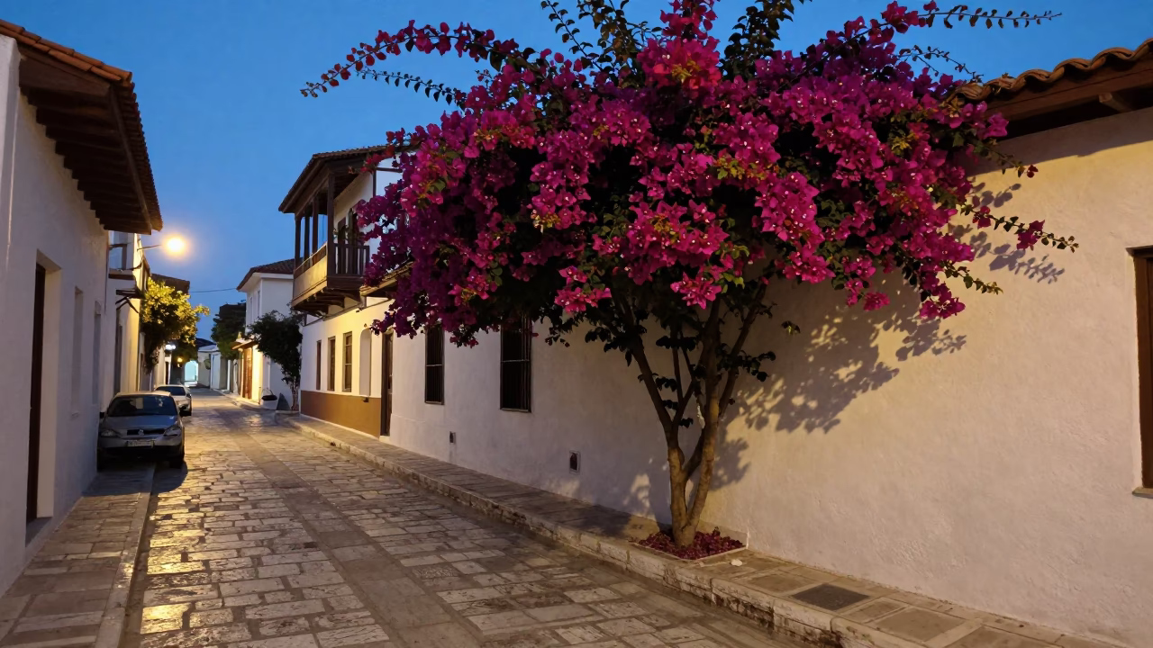 Twilight Athens Street Scene with Bougainvillea and Traditional Architecture in in Athens, Greece