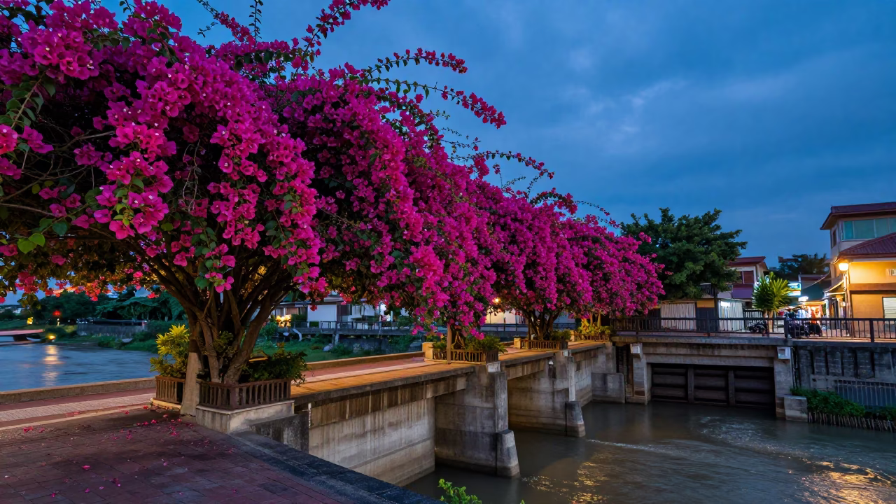 Twilight Bougainvillea in Tainan at Indigo Twilight After Sunset in in Tainan, Taiwan