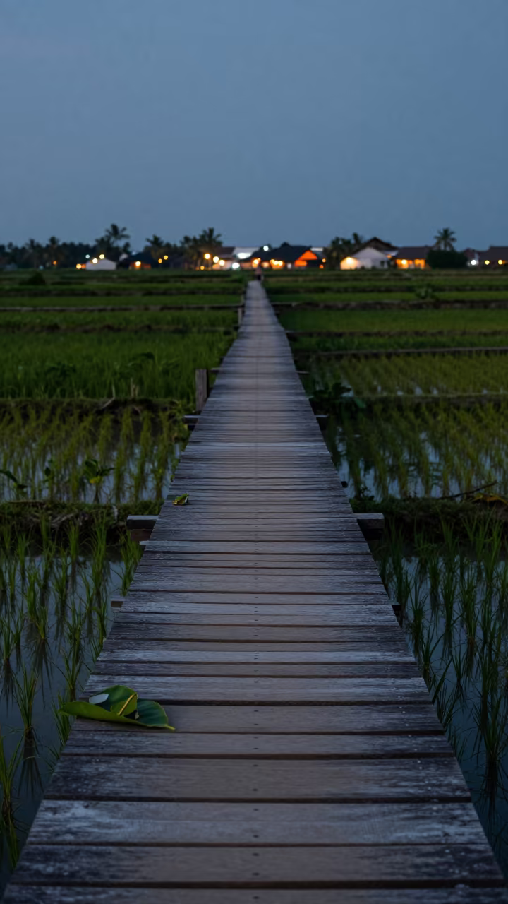 Twilight Footbridge Over Terraced Rice Paddies in among terraced rice paddies in Maldives