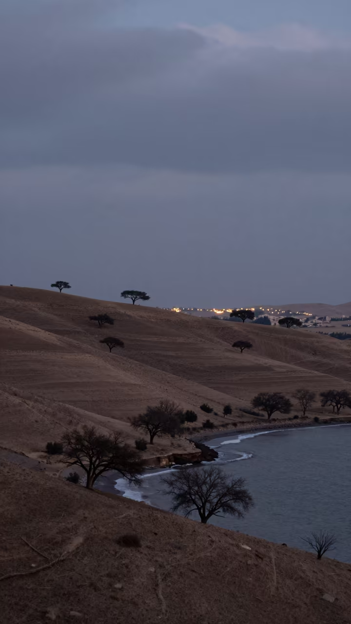 Twilight Hills and Oaks Near Mekelle Shoreline in along a wave-cut shoreline near Mekelle