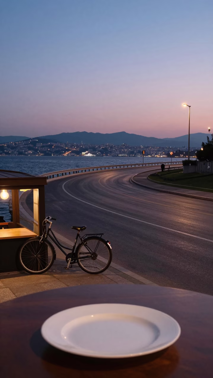 Twilight Izmir Harbor Overpass with Bicycle and Porcelain Plate Detail in in Izmir, Turkey