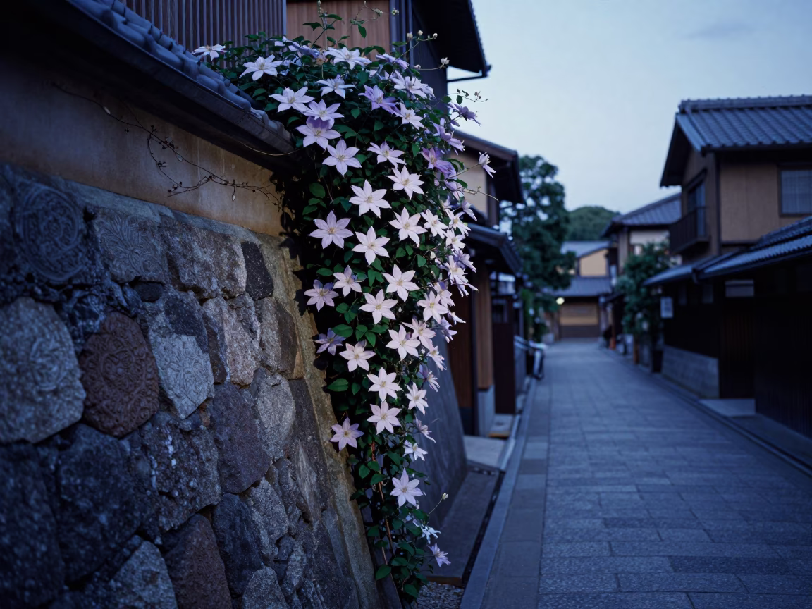 Twilight Kyoto Street Scene with Clematis Vine and Traditional Architecture in in Kyoto, Japan