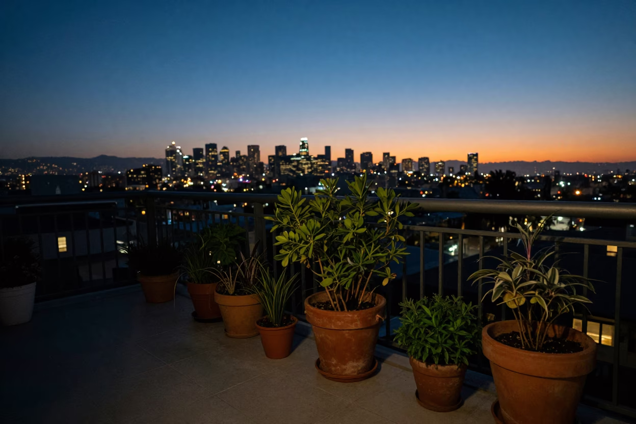 Twilight Los Angeles Balcony Scene With Potted Herbs And City Skyline View in in Los Angeles, California, United States