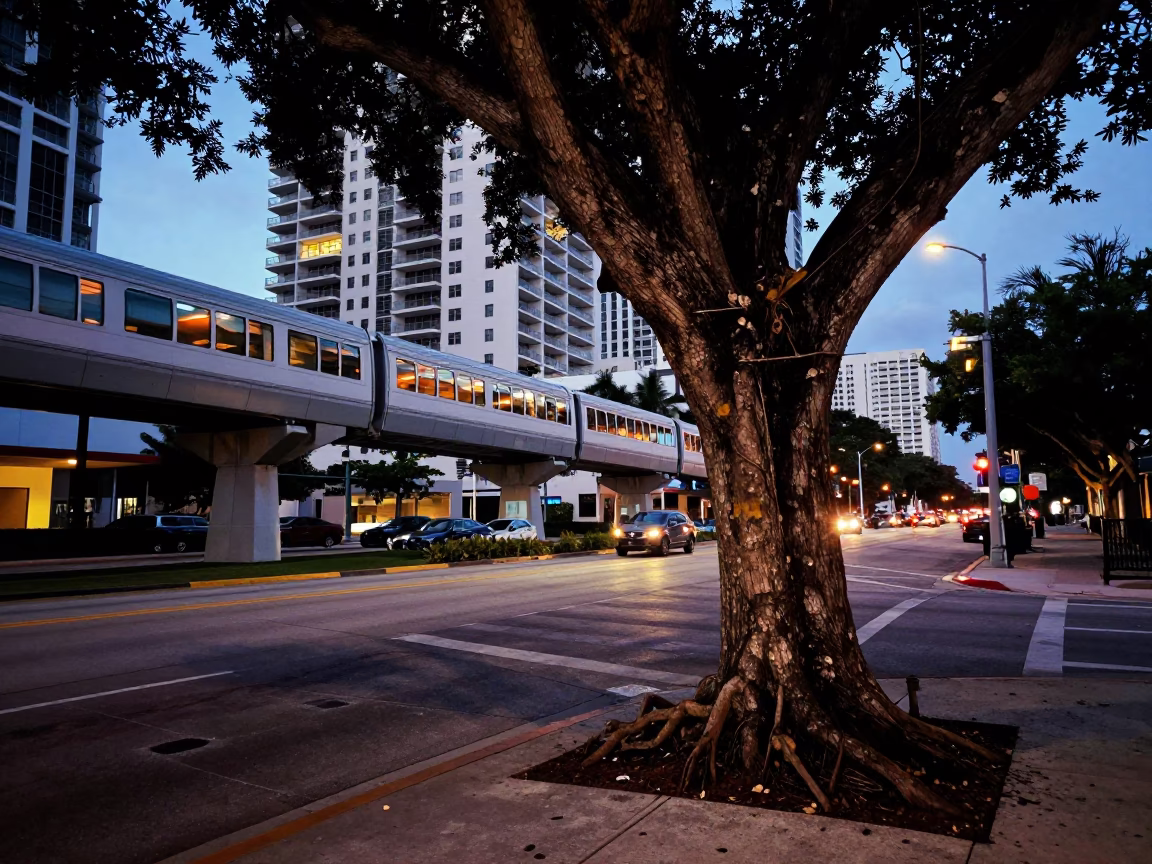 Twilight Miami Street Scene with Monorail Reflection and Kapok Tree in in Miami, Florida, United States