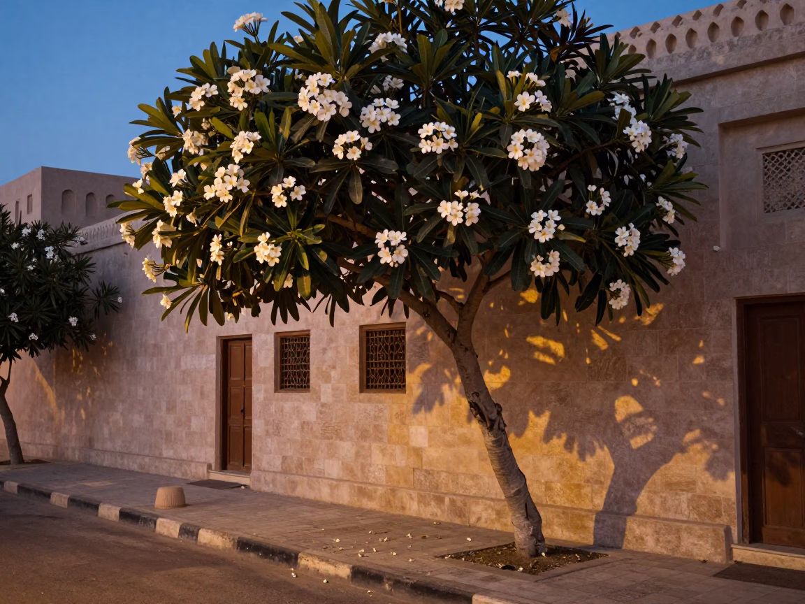 Twilight Muscat Street Scene with Plumeria Tree and Brushed Steel Rail in in Muscat, Oman