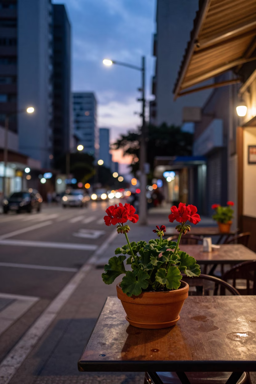 Twilight on Street Corner in São Paulo in in São Paulo, Brazil