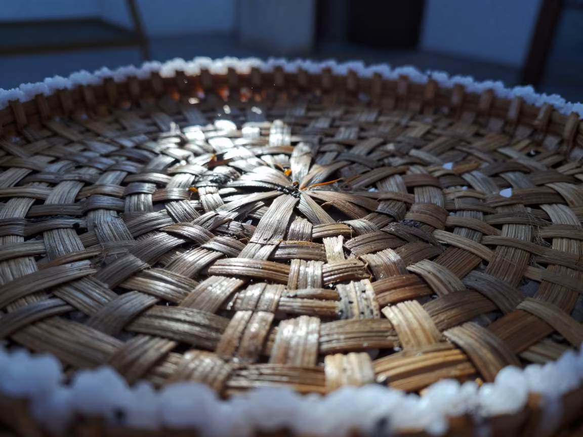 Twilight Reed Basket Texture on Salt Crystals in on salt crystals along a pan rim in Anyang