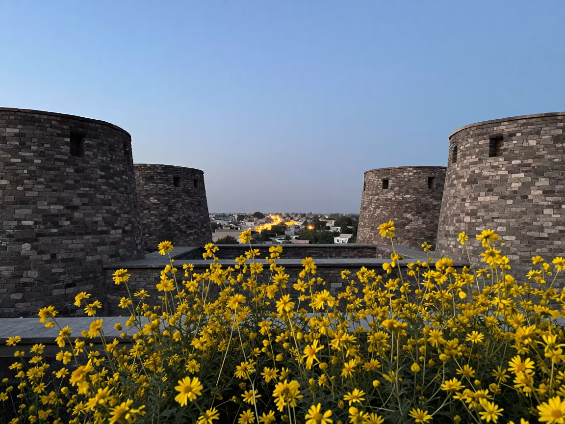 Twilight Ruins with Yellow Broom and Distant Glow in among roofless stone chambers near Peshawar