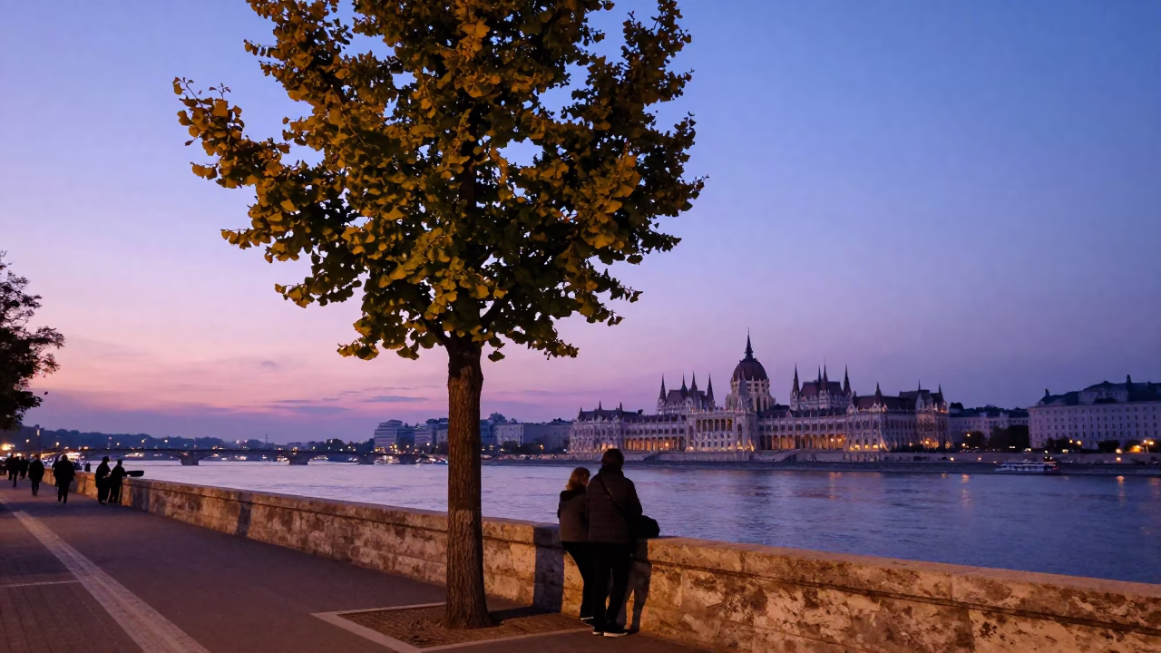 Twilight Scene on Budapest Danube Promenade with Ginkgo Tree and Newspaper Stand in in Budapest, Hungary