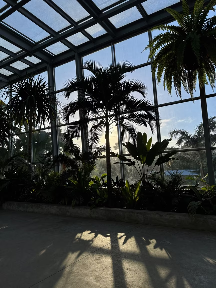 Twilight Silhouette in Les Cayes Botanical Garden Atrium in inside a skylit passageway in Les Cayes