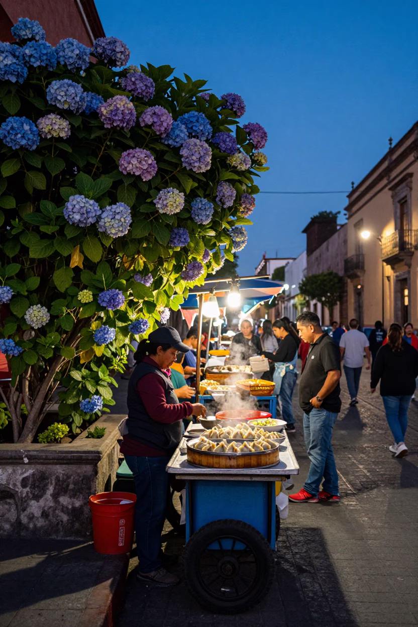 Twilight Street Market Scene in Mexico City with Hydrangea Bush and Mandu Dumplings in in Mexico City, Mexico