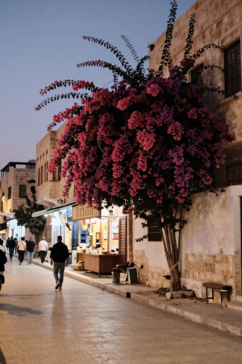 Twilight street scene in Amman Jordan with bougainvillea and local commerce in in Amman, Jordan