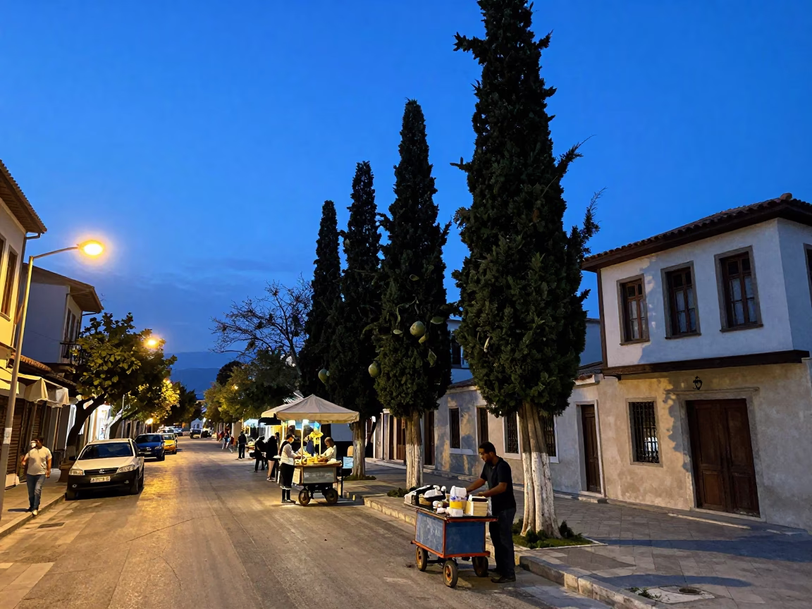 Twilight Street Scene in Athens Greece with Cypress Trees and Local Activity in in Athens, Greece