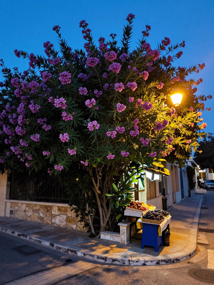 Twilight Street Scene in Athens Greece with Oleander Hedge and Grapes in in Athens, Greece