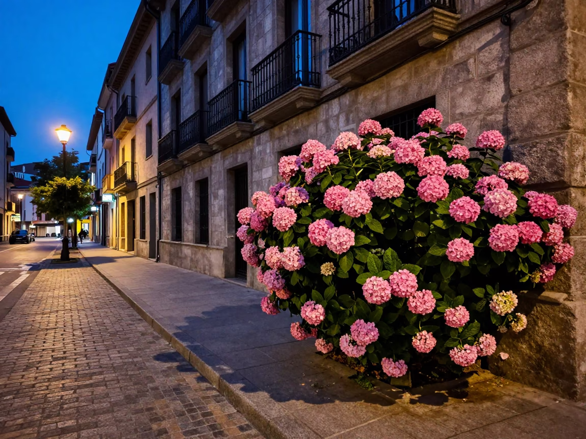 Twilight Street Scene in Bilbao Spain with Hydrangea Bush and Urban Details in in Bilbao, Spain