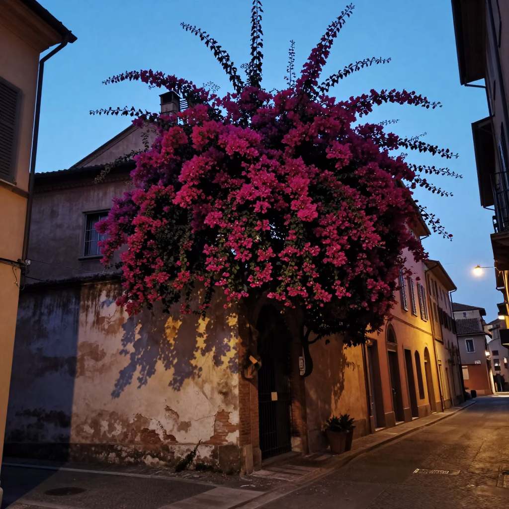 Twilight Street Scene in Bologna Italy with Bougainvillea and Traditional Architecture in in Bologna, Italy