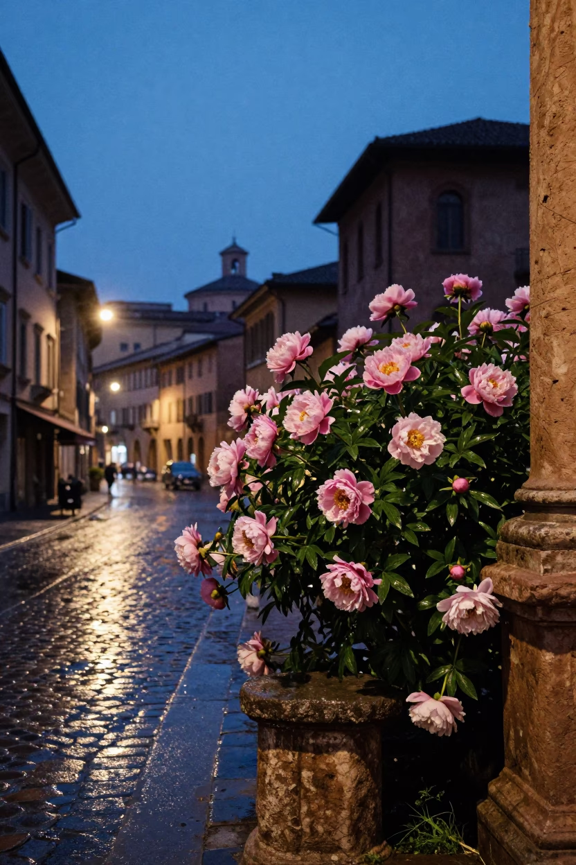Twilight Street Scene in Bologna Italy with Peony Bush and City Lights in in Bologna, Italy