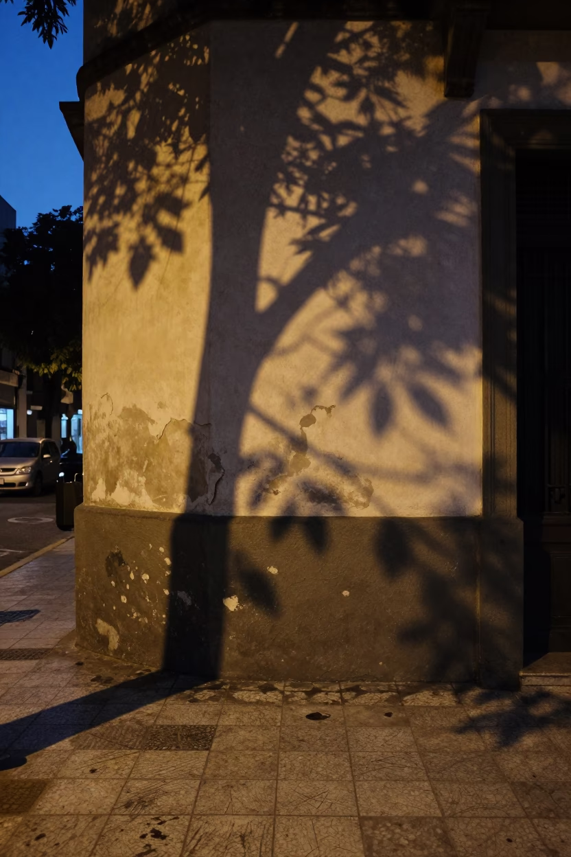 Twilight Street Scene in Buenos Aires Argentina with Leaf Shadows and Urban Details in in Buenos Aires, Argentina