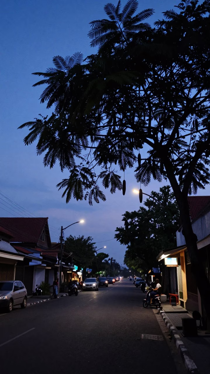 Twilight Street Scene in Denpasar Indonesia with Tamarind Tree and Mending Basket in in Denpasar, Indonesia