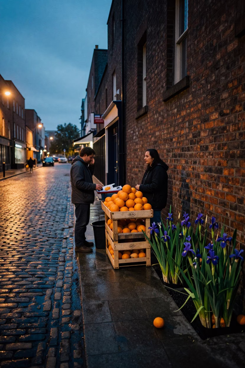 Twilight Street Scene in Dublin Ireland with Wild Iris and Oranges in in Dublin, Ireland