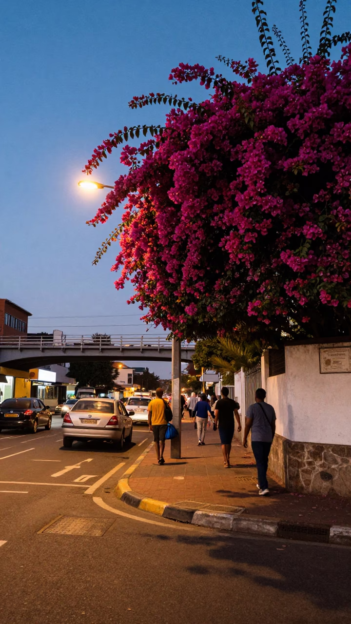 Twilight Street Scene in Durban South Africa with Bougainvillea and Bridge Maintenance Cradle in in Durban, South Africa