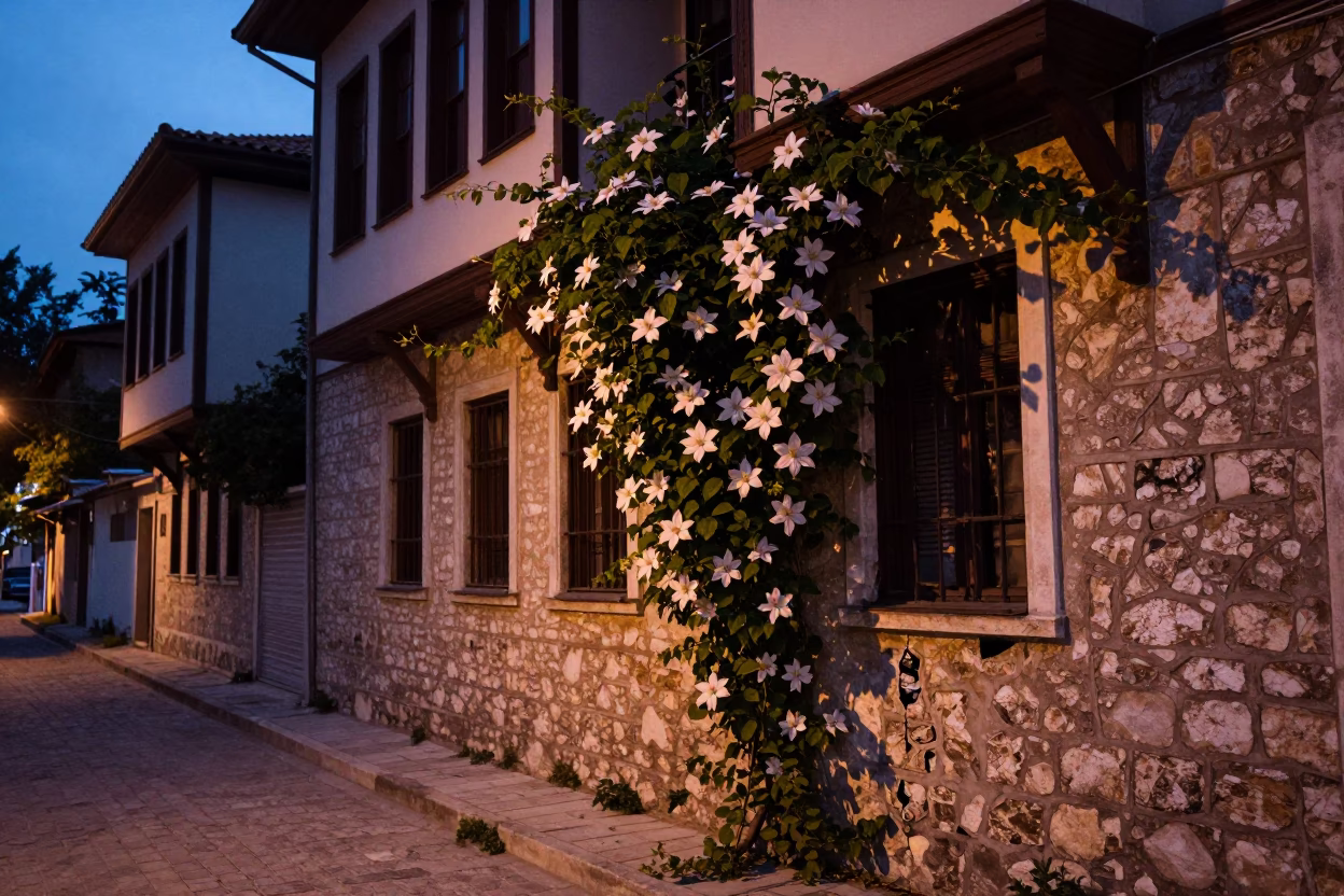 Twilight street scene in Izmir Turkey with clematis vine and dented metal rim in in Izmir, Turkey